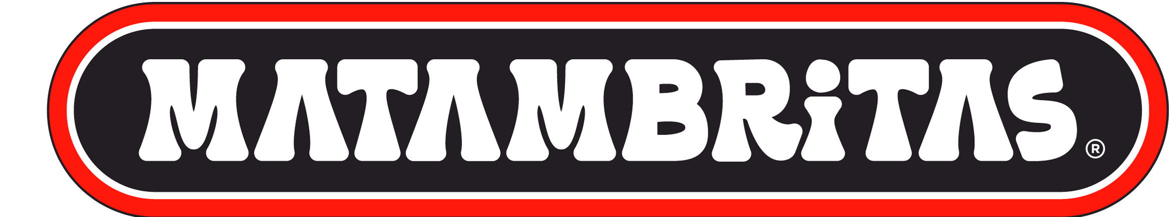 Encabezado Matambritas